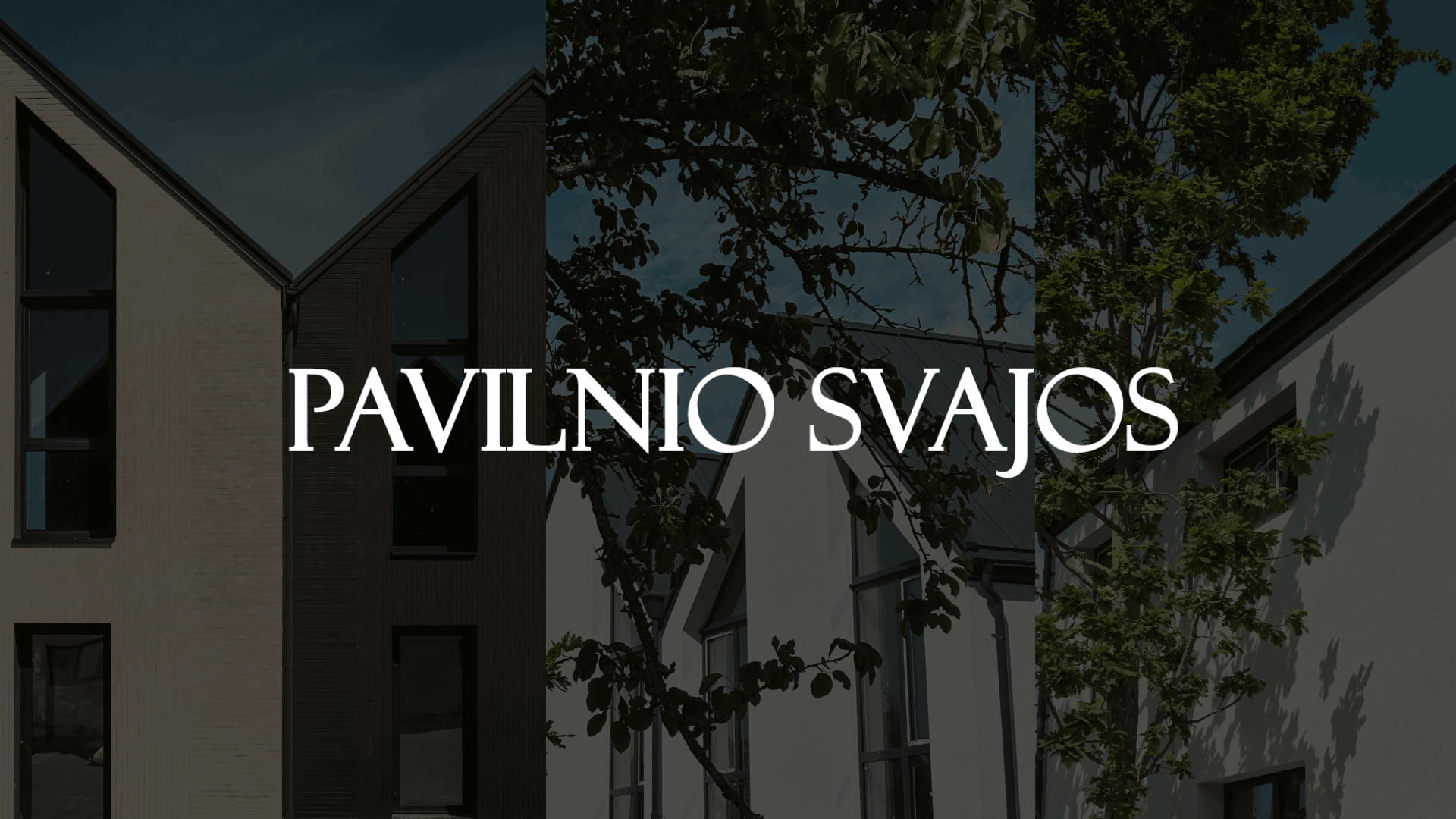 Projektas Pavilnio svajos